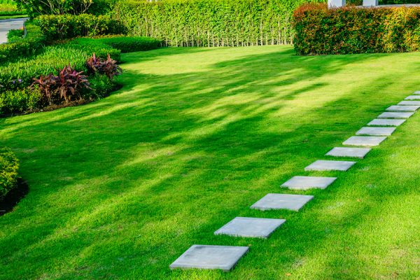 Lawn care tips for Zone8a in North Atlanta ©SingjaiStocker