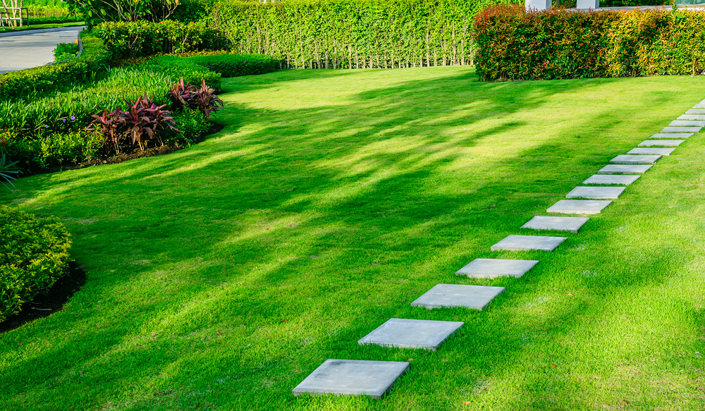 Lawn care tips for Zone8a in North Atlanta ©SingjaiStocker